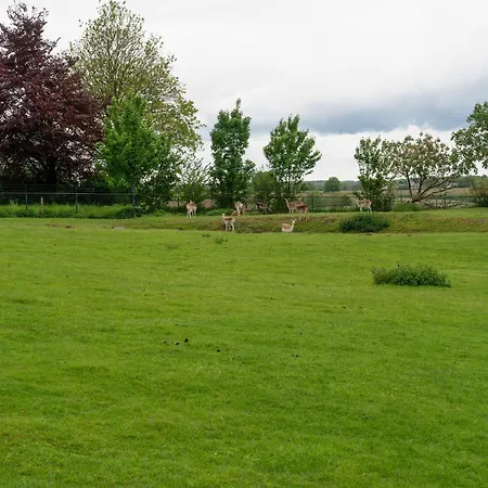 Cozy Voerendaal Getaway For 4 Ferienhaus Ubachsberg